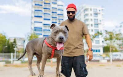 Pitbull West Coast – dlaczego ta marka wciąż dominuje na ulicach?