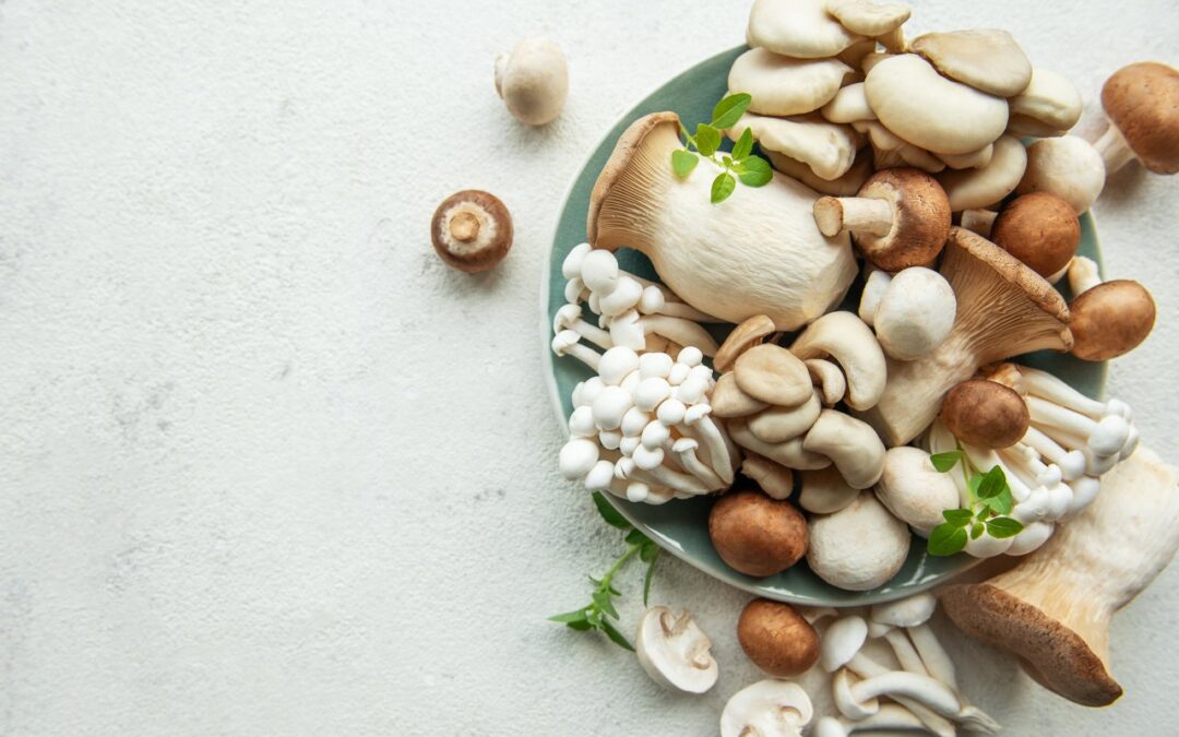 Grzyby funkcjonalne w diecie – jak włączyć soplówkę, reishi i shiitake do codziennego jadłospisu?